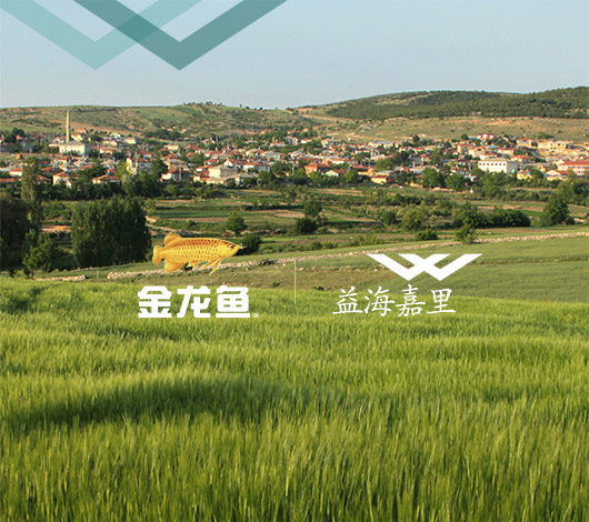 金龍魚益海嘉里集團-品牌網(wǎng)站建設